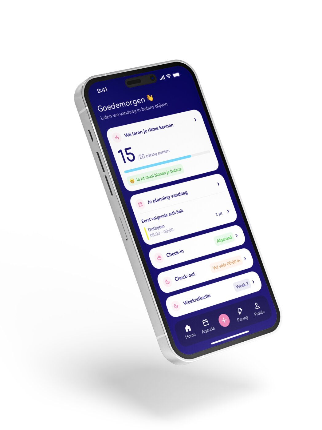 Telefoon met de Vaelio-app geopend op het dagoverzicht